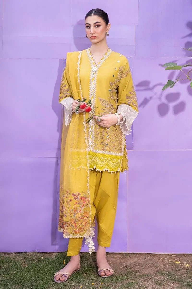 Pakistani dress hot sale sana safinaz