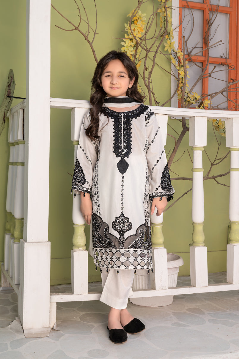 Eid collection 2024 girl dress