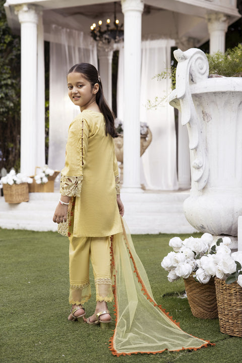 Luxury Jacquard EID Collection For Girls by Mona MJG6