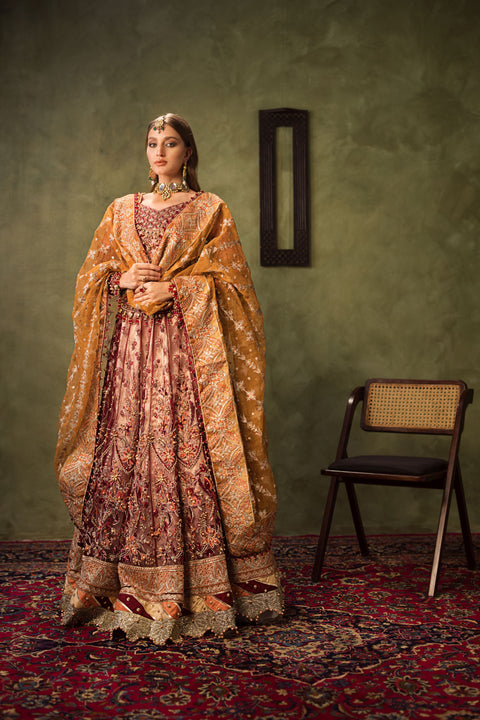 Luxury Formal Zareen Silhouettes by Aroosh ZR2