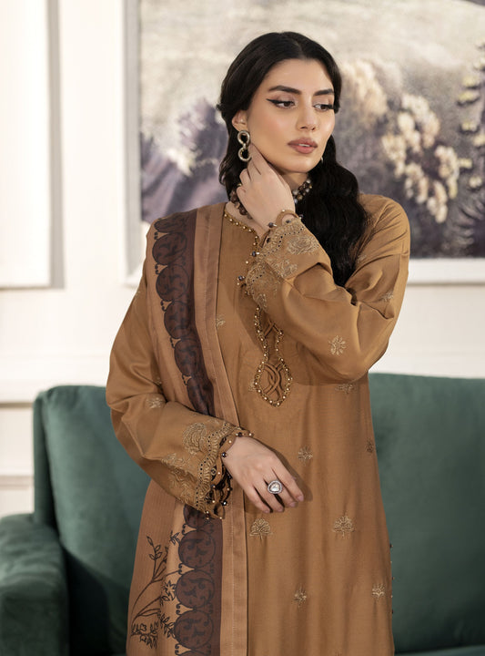 Mona’s Winter Glow Dhanak Dress MWG2