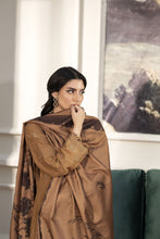 Mona’s Winter Glow Dhanak Dress MWG2