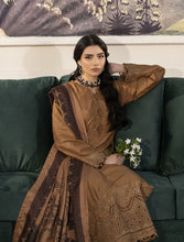 Mona’s Winter Glow Dhanak Dress MWG2