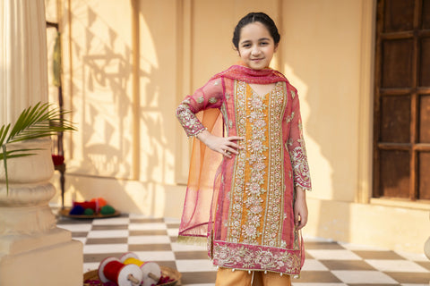 3pc Festive Girls Dress by ARWAH AG14