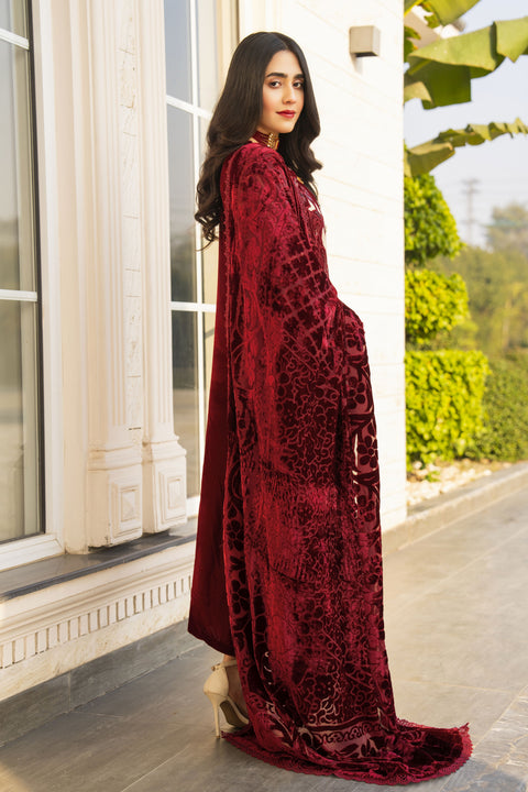 Arwah Velvet Elegance Womenswear Maroon SSA18