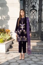 Vogue Vistas Velvet Embroidered Dress by Zaiwa ZB11