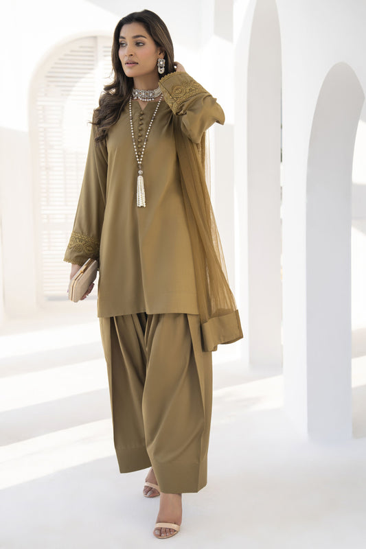 Farshi Mahal by Aabpara – Festive Farshi Shalwar Dress FMA4