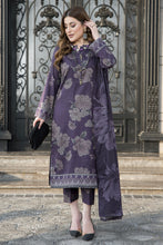 Snowlit Grace by Aabpara Winter Dhanak Dress SLG2