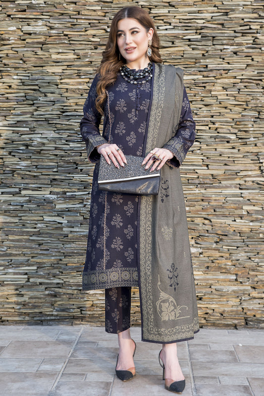 Snowlit Grace by Aabpara Winter Dhanak Dress SLG4