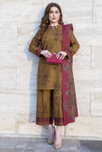 Snowlit Grace by Aabpara Winter Dhanak Dress SLG5