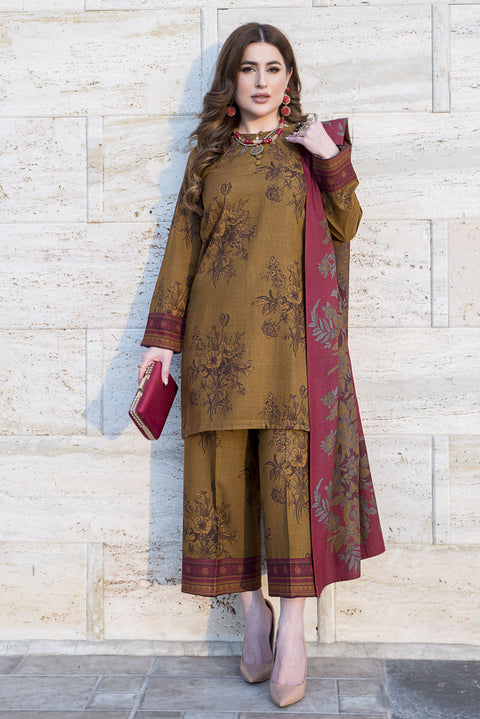 Snowlit Grace by Aabpara Winter Dhanak Dress SLG5