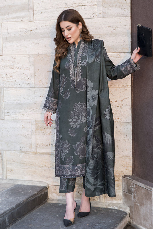 Snowlit Grace by Aabpara Winter Dhanak Dress SLG6