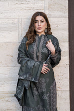 Snowlit Grace by Aabpara Winter Dhanak Dress SLG6