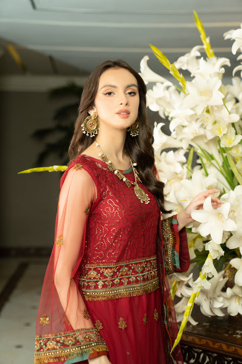 3pc Noorma Kamal Net Formal Embroiderd Dress 09