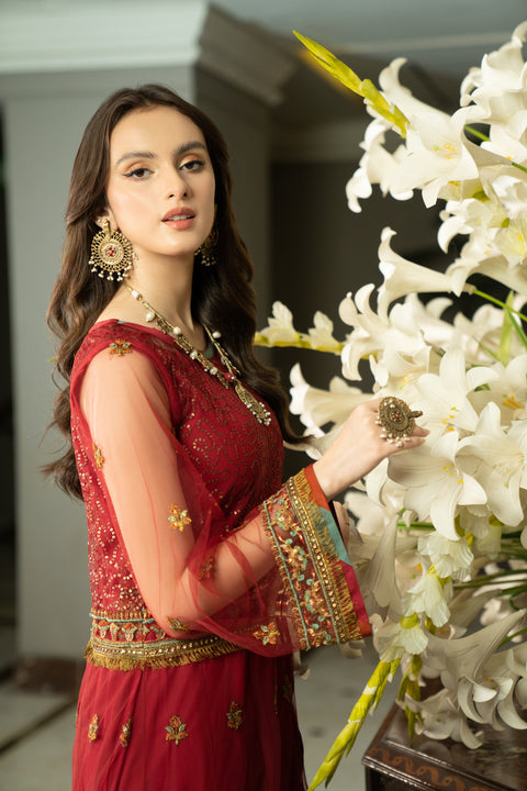 3pc Noorma Kamal Net Formal Embroiderd Dress 09