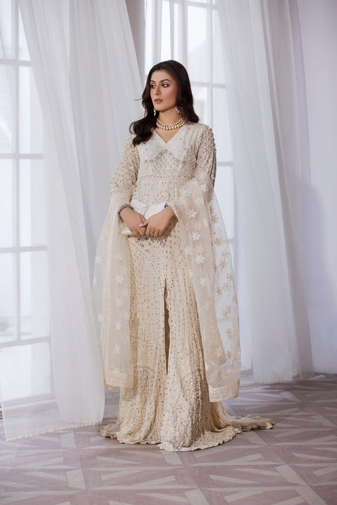 Luxury Formal Handwork Gown Dress by Aroosh AP1