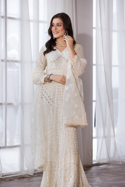 Luxury Formal Handwork Gown Dress by Aroosh AP1