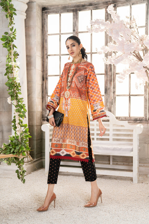 Ready To Wear 2 Pcs WInter Khadar Dress by AABPARA 02