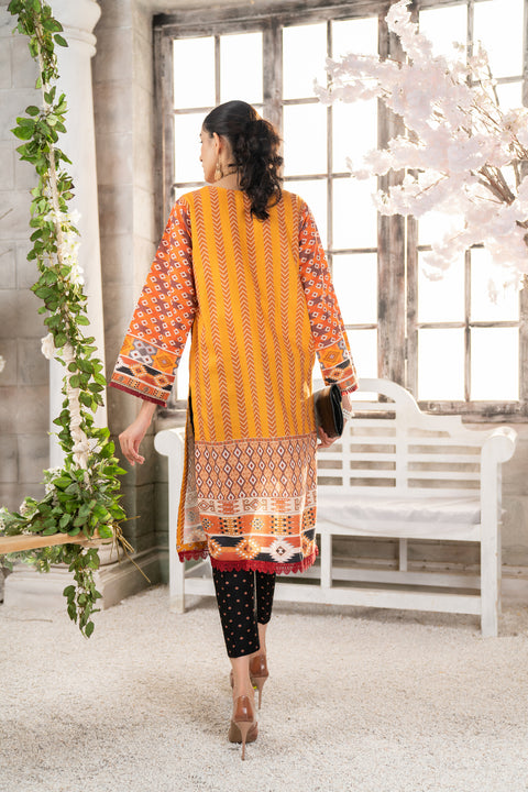 Ready To Wear 2 Pcs WInter Khadar Dress by AABPARA 02