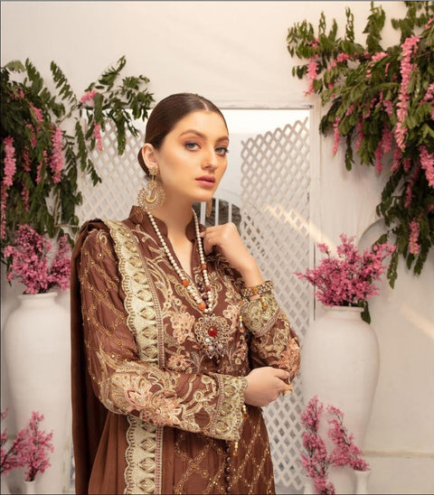 Simrans Ivana Chiffon Collection