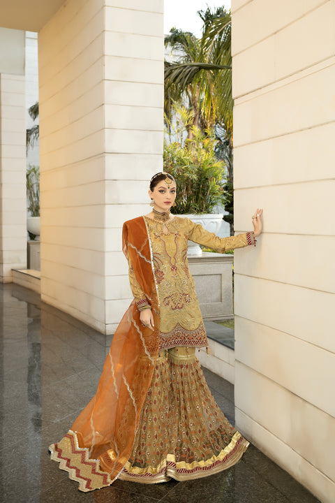 Luxury Formal Handwork Dress by Aroosh 01