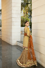 Luxury Formal Handwork Dress by Aroosh 01