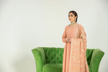 Sakeena Hasan 3pc Karandi Dress 09