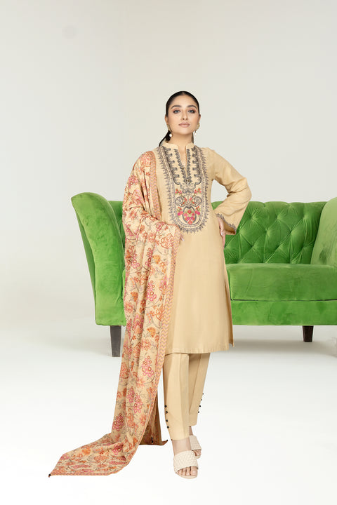 Sakeena Hasan 3pc Karandi Dress 04