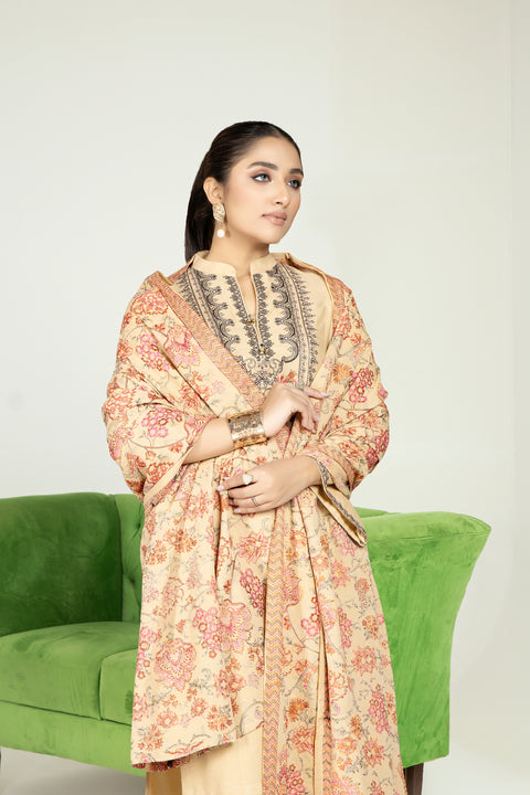 Sakeena Hasan 3pc Karandi Dress 04