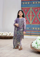 Kids Ready to Wear Haseen Lawn Embroidered Collection 01