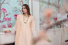 Chikankari Ready to Wear Lawn Collection by Simrans 03